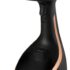 ANSIO Deshumidificador para interiores, removedor de condensación, absorbente de humedad,humedad, moho, humedad en el hogar, cocina, dormitorio, caravana, oficina, garaje, sótano 500 ml, paquete de 10